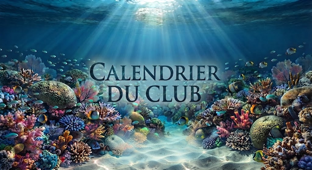 Calendrier Club